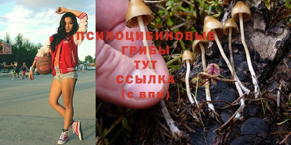 трава Приозерск