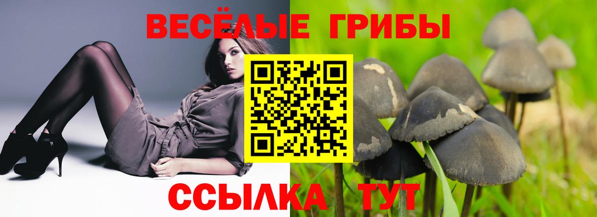 Псилоцибиновые грибы Cubensis  Вход с VPN  Елец  Галлюциногенные грибы GOLDEN TEACHER 