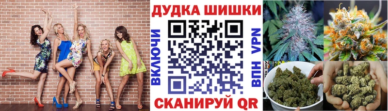 Каннабис индика Елец